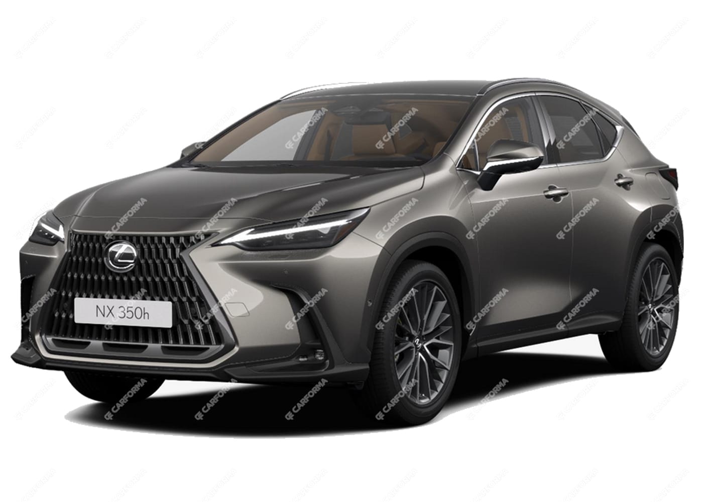 EVA коврики на Lexus NX II 2021 - 2025
