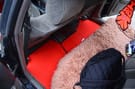 Ворсовые коврики на Toyota Mark II (100) 1996 - 2001 в Волжском