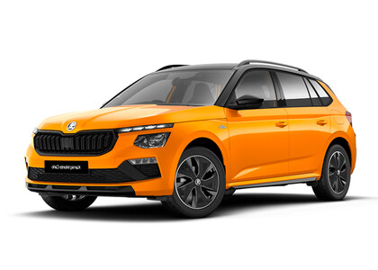 Коврики на Skoda Kamiq (Европа) 2019&nbsp;-&nbsp;2026 в Волжском
