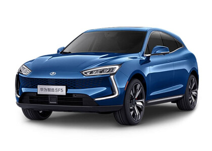 Ворсовые коврики на Seres SF5 2019&nbsp;-&nbsp;2022 в Волжском