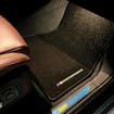 Коврики на BMW X5 (G05/G18) 2018 - 2025 в Волжском