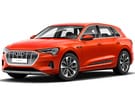 Коврики на Audi e-tron 2018 - 2025 в Волжском